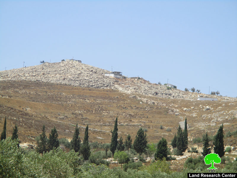 سرقة ثمار زيتون جديدة على يد المستعمرين في قرية بورين / محافظة نابلس