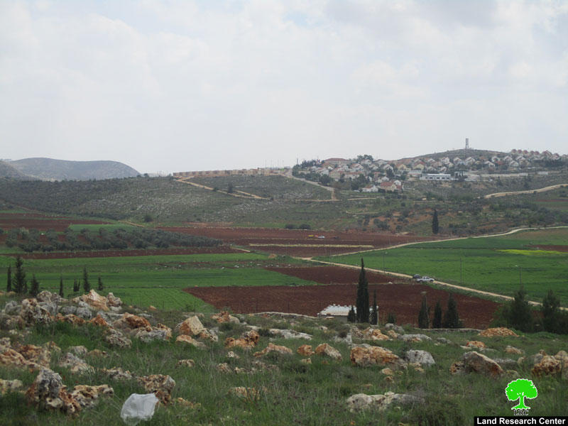 الإعلان عن إنشاء بؤرة استعمارية جديدة بديلة عن البؤرة ” عمونة” على أراض قرية جالود / محافظة نابلس