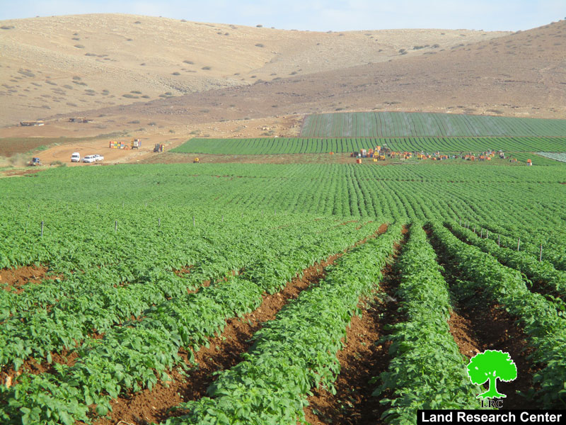 Israeli Occupation Forces isolate Palestinian lands, destruct water pipelines and open colonial roads in Tubas governorate