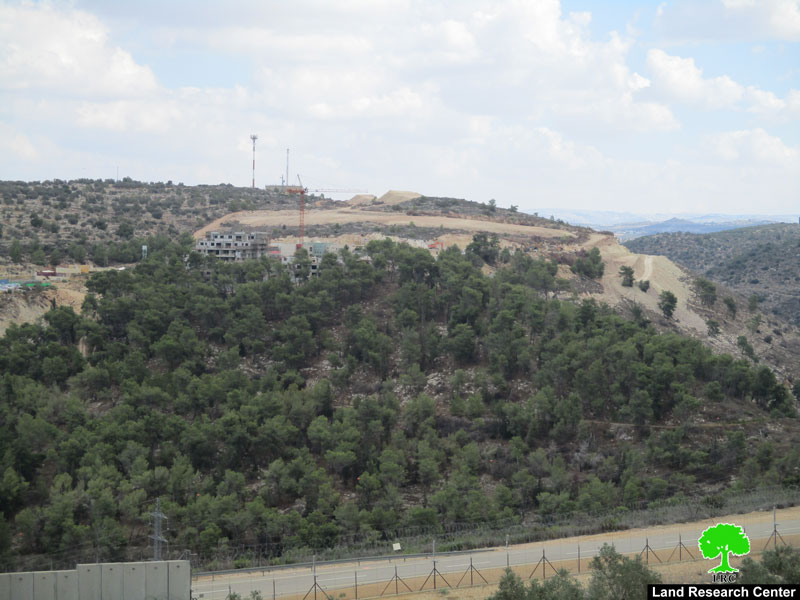 الشروع بإنشاء حي استعماري جديد الى الشرق من مستعمرة ” ألفيه منشيه” / محافظة قلقيلية