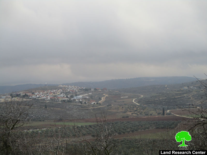 طرد المزارعين من أراضيهم وسرقة عددهم الزراعية المستخدمة في قطف الزيتون في قرية قريوت بمحافظة نابلس