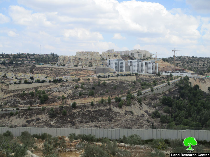 الشروع بإنشاء حي استعماري جديد الى الشرق من مستعمرة ” ألفيه منشيه” / محافظة قلقيلية