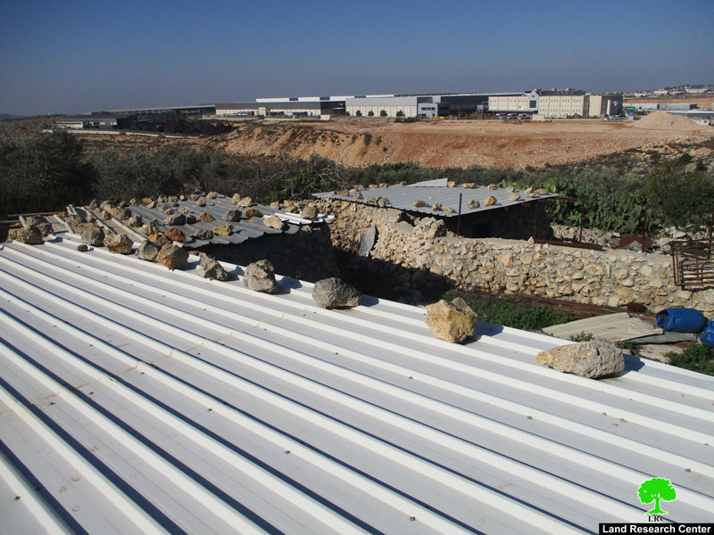 Final demolition order on Khirbat Abu al-Basal in Salfit governorate