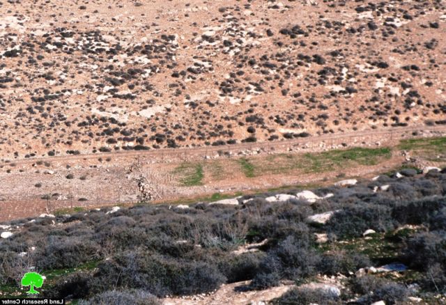 مستعمرون يستولون على أراضي شرق بلدة يطا محافظة الخليل