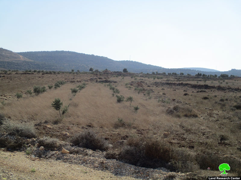 Israeli Authorities notify a farmland of evacuation in Qalqiliya governorate