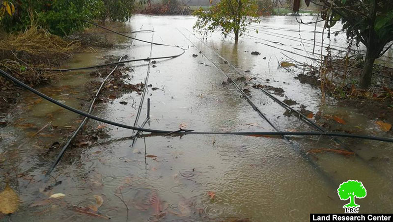 الجدار العنصري يتسبب في غمر الأراضي الزراعية جنوب غرب مدينة طولكرم