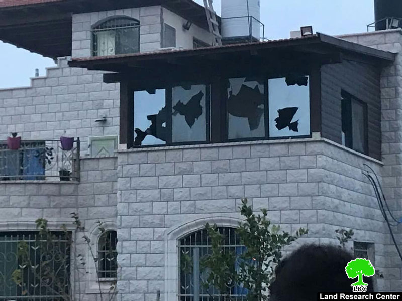 المستعمرون يعتدون على الفلسطينيين وممتلكاتهم في قرية فرعتا / محافظة قلقيلية