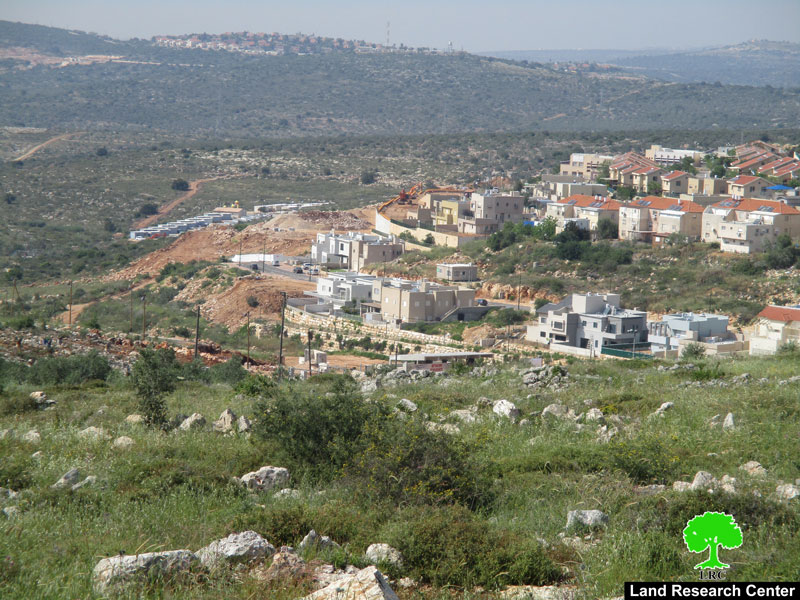 الشروع بانشاء حي استعماري جديد الى الغرب من مستعمرة رفافاعلى حساب أراضي قرية حارس محافظة سلفيت