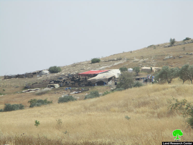 البؤرة الاستعمارية هار سلعيت اعتداءات متكررة على المزارعين الفلسطينيين وممتلكاتهم في خلة حمد محافظة طوباس