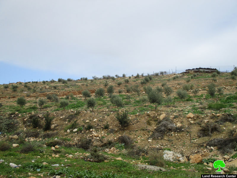 إخطار بإخلاء 53 دونماً زراعياً في منطقة سهل قاعون شمال غرب قرية بردلة محافظة طوباس