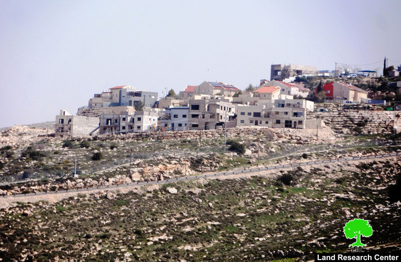 مستعمرون يقيمون بؤرة جديدة غرب قرية فقيقيس بمحافظة الخليل
