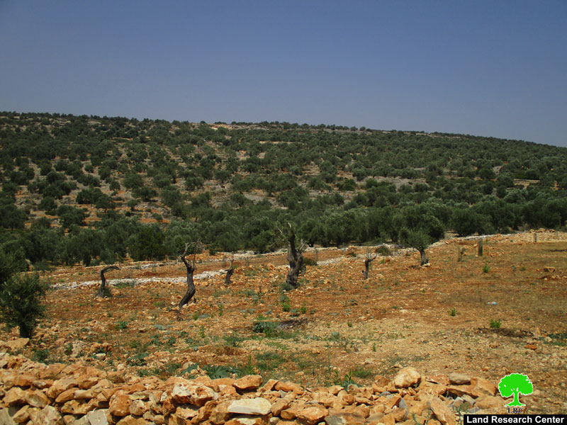 منع استصلاح ارض زراعية وتأهيل طريق زراعي  في بلدة عزون محافظة قلقيلية