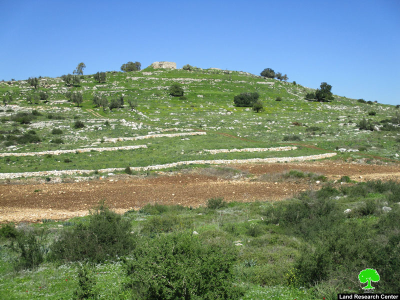 إخطار بوجوب الإخلاء لـ  14.5 دونماً من الأراضي الزراعية جنوب بلدة يعبد بحجة أنها أراض دولة محافظة جنين