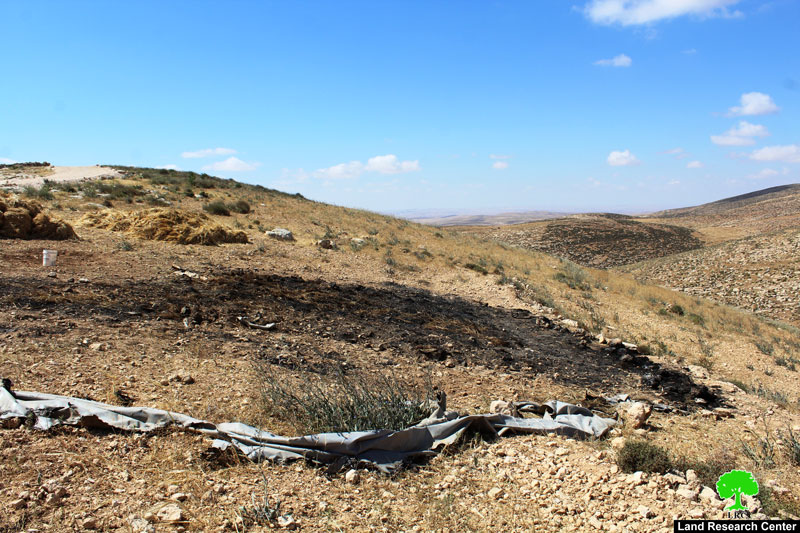 مستعمرون يحرقون محصولاً زراعياً في قرية خلة الضبع شرق يطا  محافظة الخليل