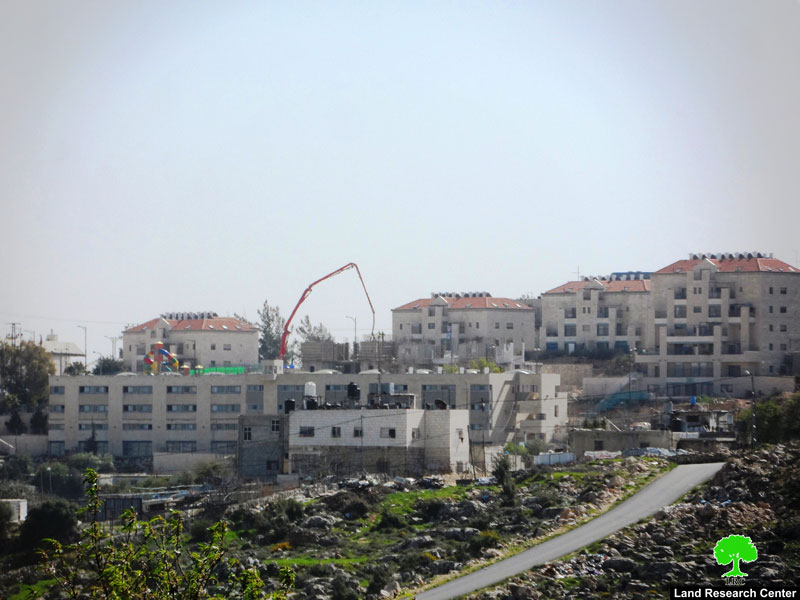 Israeli colonists establish new outpost east Hebron governorate