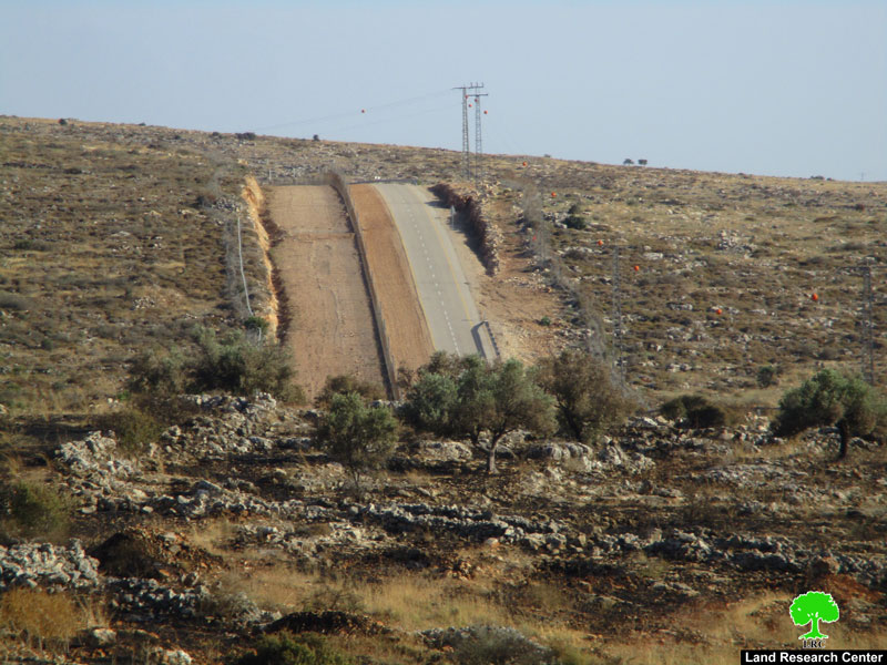 جيش الاحتلال يحرق 22 شجرة زيتون غرب بلدة الزاوية  محافظة سلفيت