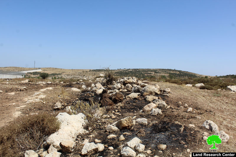 قوات الاحتلال تحرق محصول زراع في الأراضي الزراعية في بلدة إذنا محافظة الخليل