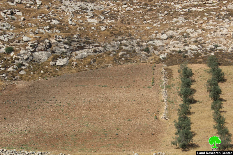 إخطار بوقف العمل في جدار من الأسلاك الشائكة بقرية فقيقيس