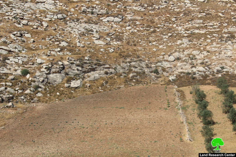 إخطار بوقف العمل في جدار من الأسلاك الشائكة بقرية فقيقيس