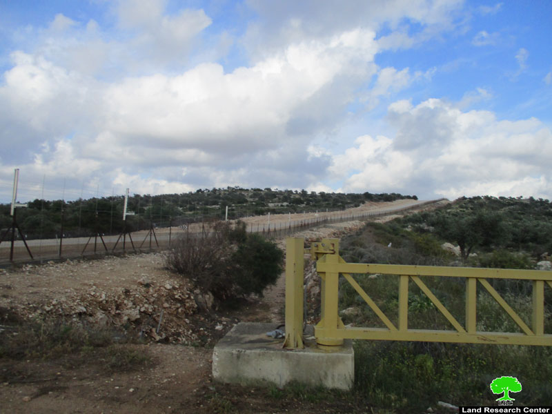 إغلاق البوابة الزراعية في بلدتي دير الغصون وعتييل ومنع مئات المزارعين من الوصول لأراضيهم  محافظة طولكرم