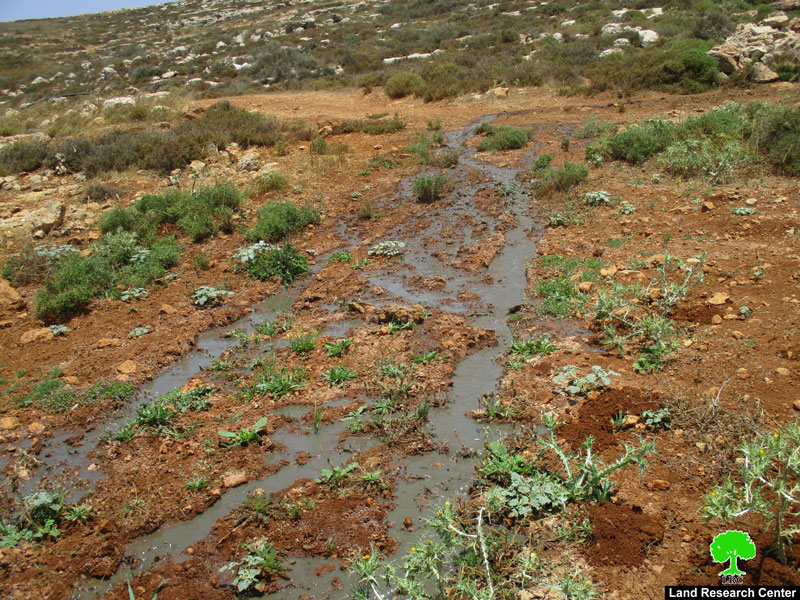 مستعمرة  عمنحاي خطر يهدد الزراعة و البيئة الفلسطينية في بلدة ترمسعيا