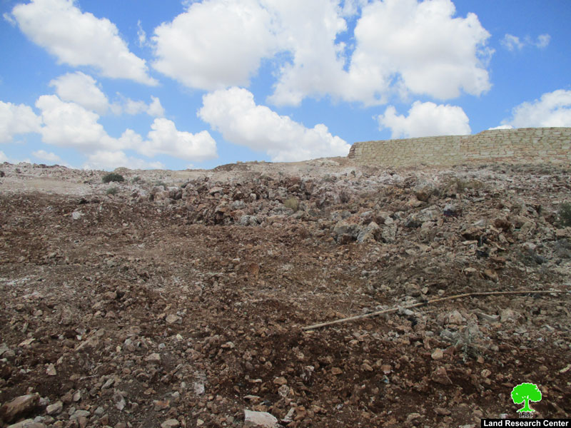 تجريف 82 دونماً ومئات أشجار الزيتون بهدف توسيع مستعمرة ليشم الإسرائيلية على حساب أراضي قرية دير بلوط  محافظة نابلس