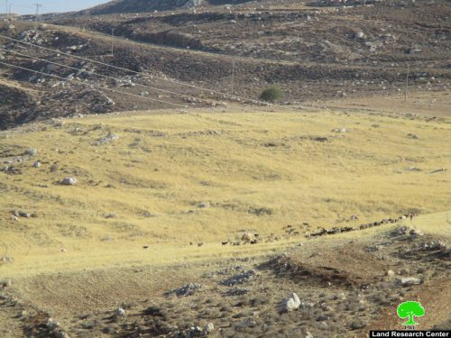 اعتداءات متواصلة للمستعمرين على تجمع عرب الكعابنة في عين سامية / محافظة رام الله