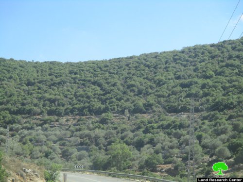 الاحتلال الاسرائيلي يواصل تهويد منطقة واد قانا شمال محافظة سلفيت