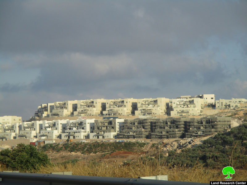 مستعمرة ” ليشم” تهديد حقيقي للوجود الفلسطيني شرق بلدة دير بلوط / محافظة سلفيت