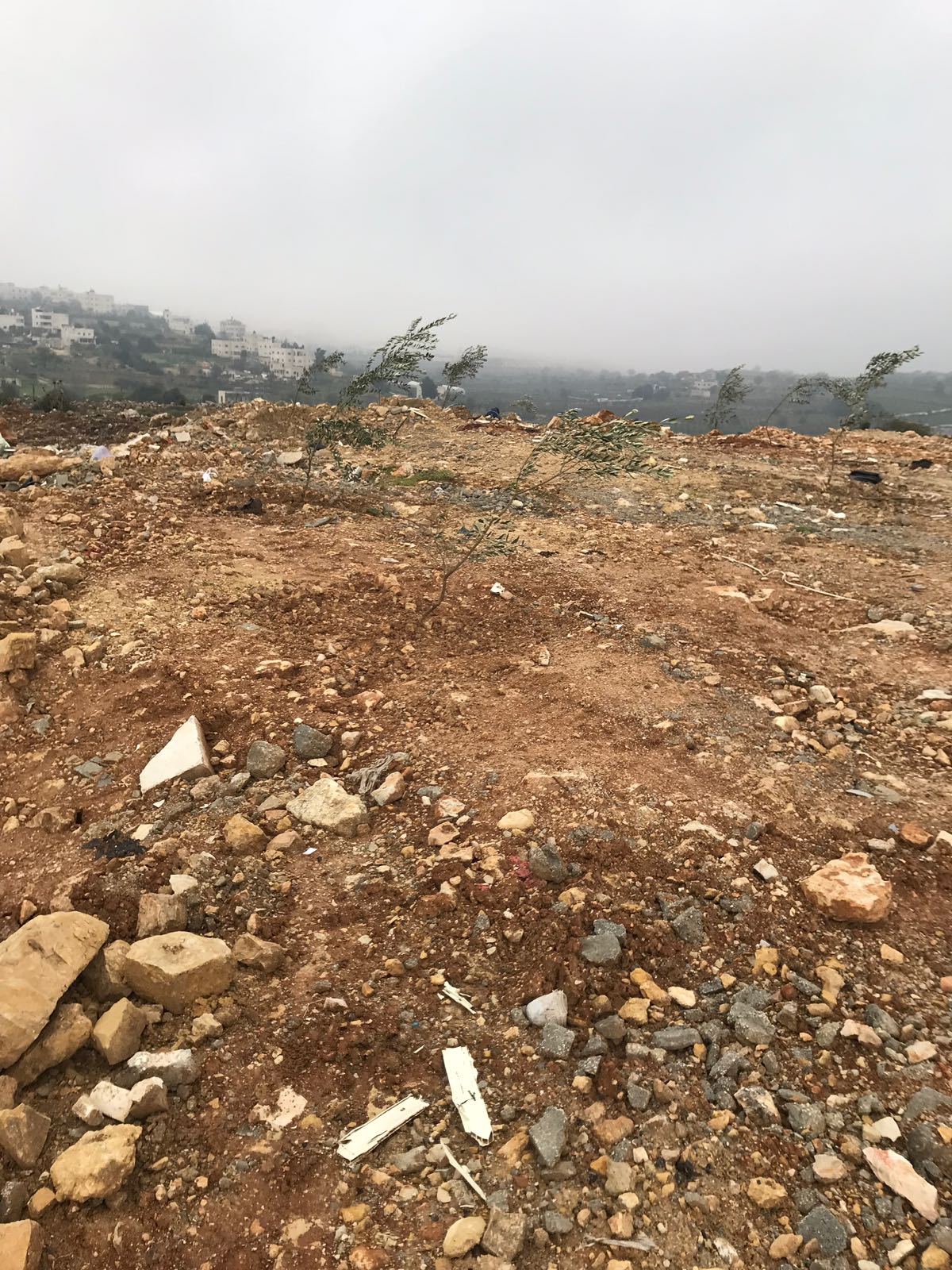 مستعمرون يعتدون على مواطنين وأراضيهم في خلة الثغرة شرق الخليل