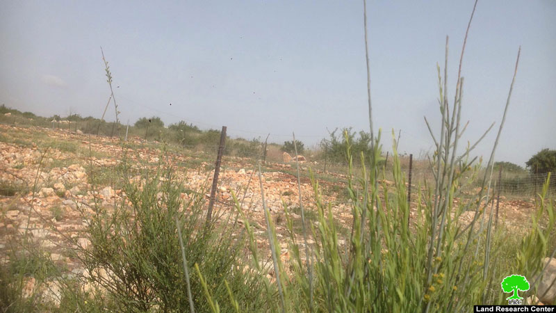 تجريف مساحات واسعة من الأراضي الزراعية لصالح توسعة مستعمرة بروخين محافظة سلفيت