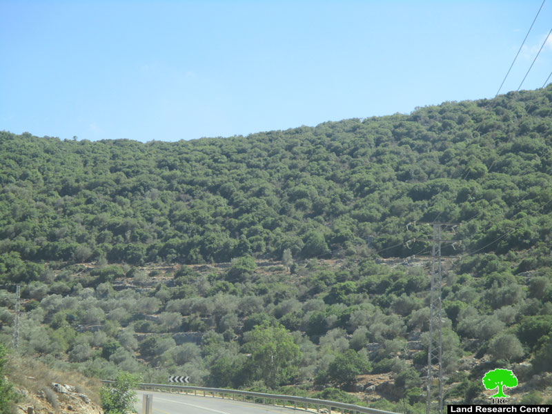 الاحتلال الاسرائيلي يواصل تهويد منطقة واد قانا شمال محافظة سلفيت