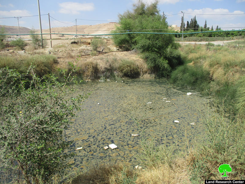 IOF halt rehabilitation work on an irrigation pool – Ein Ad-Beida/ Tubas governorate