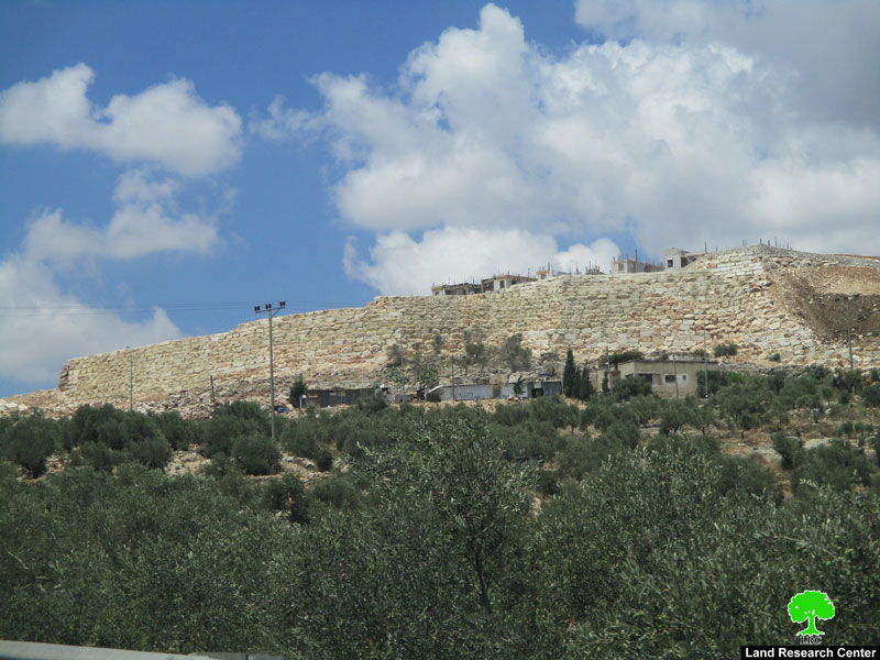 Israeli Dozers Ravage Hundreds of Trees for Settlement Expansion Purposes