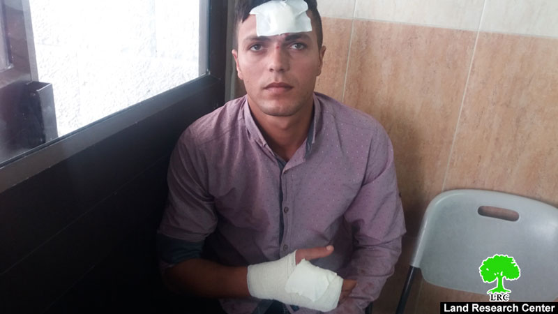 طرد عائلة من أرضها خلال قطفها لثمار الزيتون والاعتداء على أبنائها في قرية بزارية  / محافظة نابلس