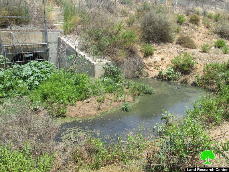 Sewage Water from the Settlement of Alfei Menashe Targets Palestinian Agricultural Lands