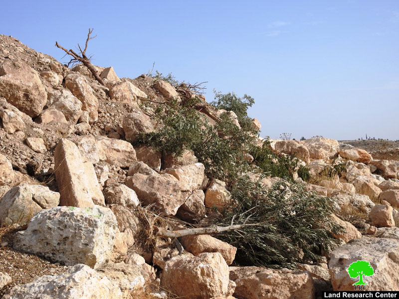 الاحتلال يجرف أراضٍ ويقتلع أشجار ويهدم آبار في خربة جمرورة غرب محافظة الخليل