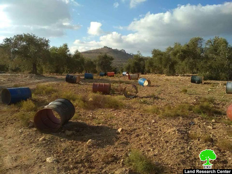 Settlers uproot 80 olive trees in Ras Karkar Ramallah