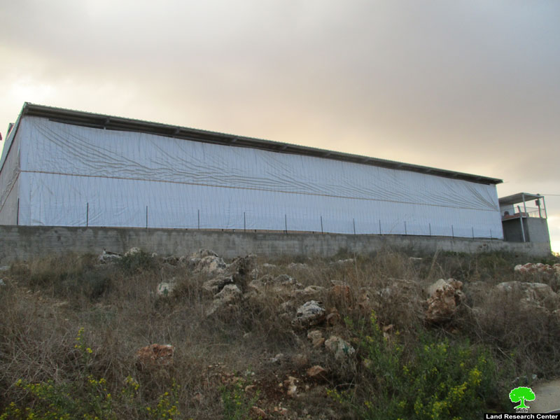 إخطارات بوقف البناء تطال منشآت سكنية وزراعية في بلدة الزاوية  محافظة سلفيت