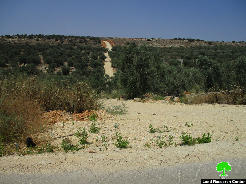 منع استصلاح ارض زراعية وتأهيل طريق زراعي في بلدة عزون / محافظة قلقيلية