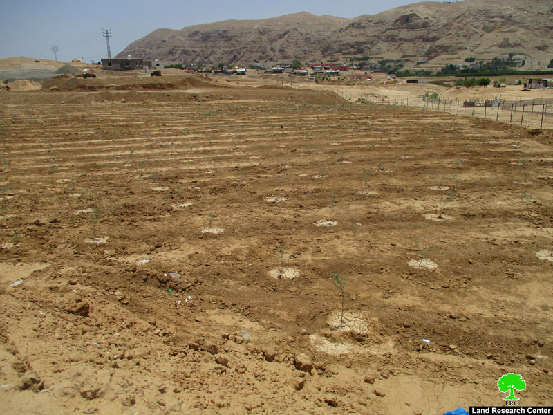 إخطارات بوجوب الإخلاء  لمساحات من الأراضي الزراعية في منطقتي دير أبو حجلة والنويعمة / محافظة أريحا