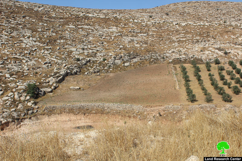 Stop-Work Orders in Fuqeiqis – Dura /Hebron