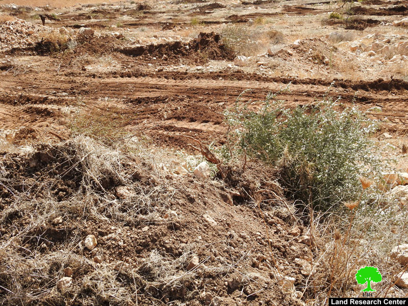 Israeli Occupation Forces ravage agricultural lands in Beit Ula town / West Hebron