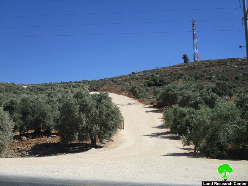 New Bypass road in Salfit governorate