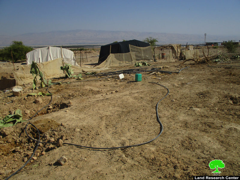 Lands ravaging and trees uprooting in The Jericho village of Fasayil