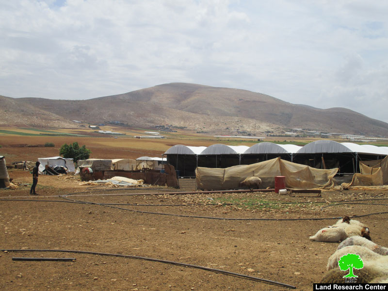 Stop-construction order on residences and agricultural facilities in Ras Al-Ahmar/ Tubas Governorate