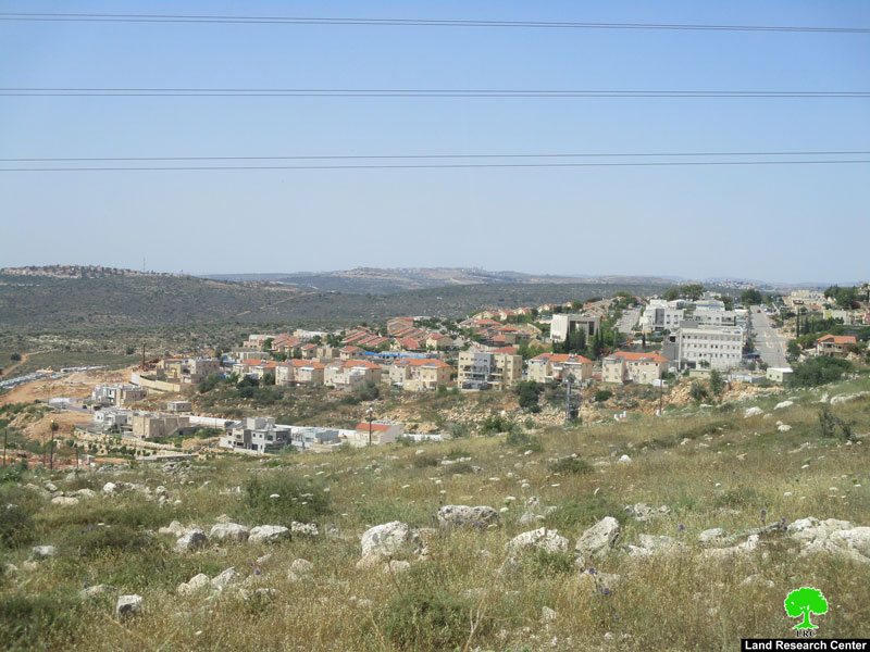 New colonial activity in Revava settlement/ Salfit governorate