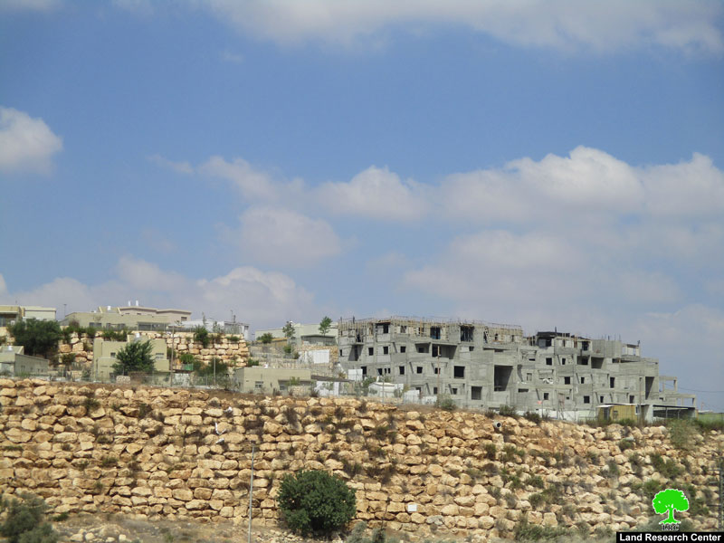 Expanding “Alei Zahav” settlement – Kafe Ad-Dik –Salfit