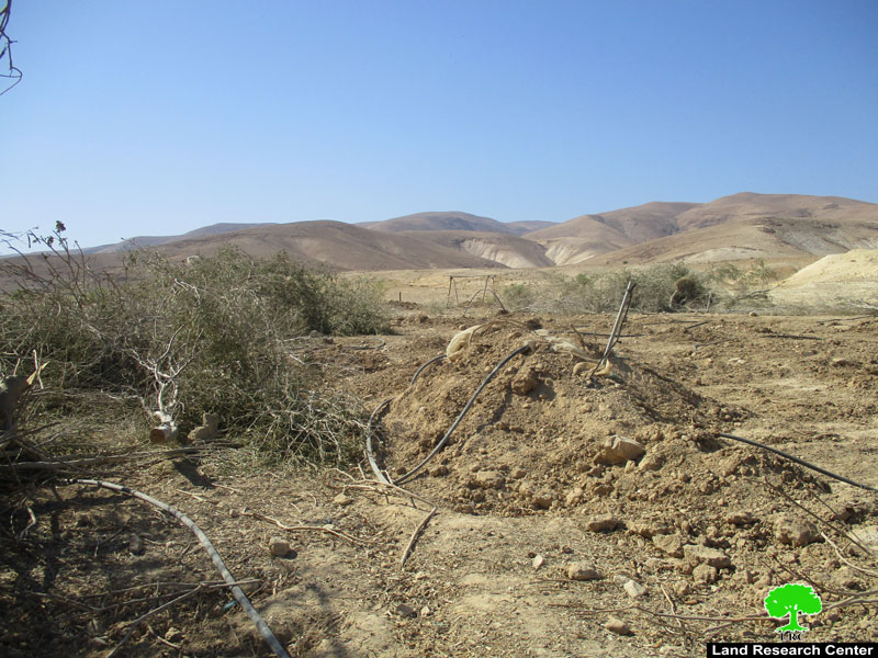 Lands ravaging and trees uprooting in The Jericho village of Fasyel