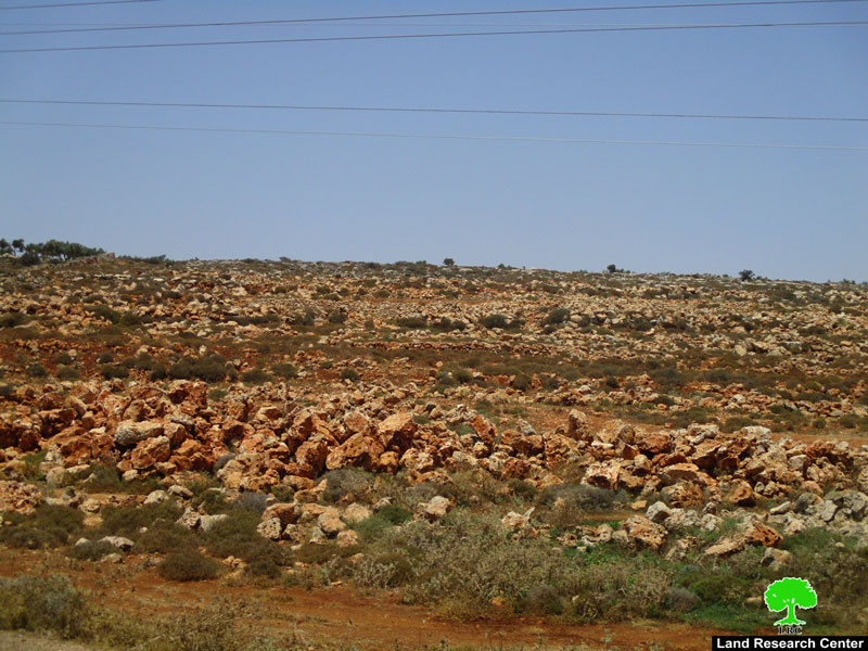 The Israeli occupation forces Halt rehabilitation work on agricultural lands in Sir / Qalqilya governorate